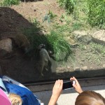 20150617-coloradoday4a-27