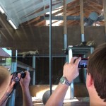 20150617-coloradoday4a-42