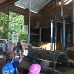 20150617-coloradoday4a-48