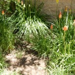 20150617-coloradoday4c-022