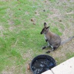 20150617-coloradoday4c-074