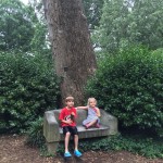 20150703-chapelhill-28