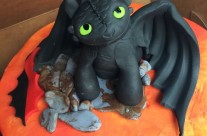 Cake Pickup (and sneak preview!)