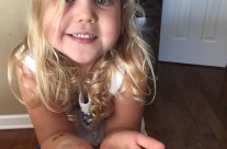 Building, Shrinky Dinks