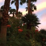 20150921-vegas1-31
