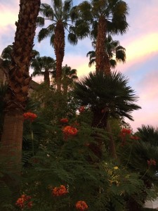 20150921-vegas1-31