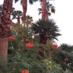 20150921-vegas1-32