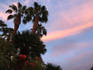 20150921-vegas1-34