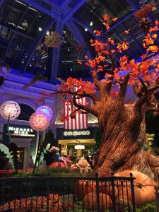 20150923-vegas3-17