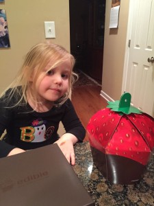 20151019-birthdayfruit-16