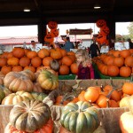 20151025-picdaykankipumpkins-03