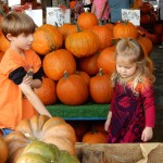 20151025-picdaykankipumpkins-05