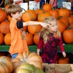 20151025-picdaykankipumpkins-06