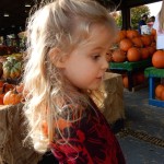20151025-picdaykankipumpkins-07