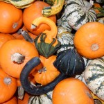 20151025-picdaykankipumpkins-13