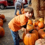 20151025-picdaykankipumpkins-17