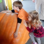 20151025-picdaykankipumpkins-22