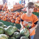 20151025-picdaykankipumpkins-26