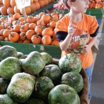 20151025-picdaykankipumpkins-27