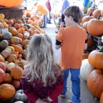 20151025-picdaykankipumpkins-29