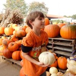20151025-picdaykankipumpkins-31