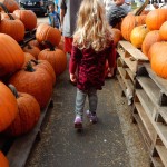 20151025-picdaykankipumpkins-32