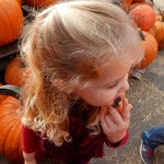 20151025-picdaykankipumpkins-33