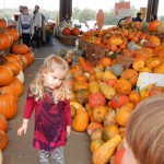 20151025-picdaykankipumpkins-34