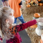 20151025-picdaykankipumpkins-36