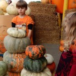 20151025-picdaykankipumpkins-40
