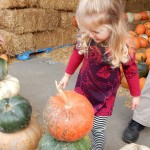 20151025-picdaykankipumpkins-41