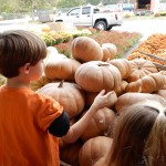20151025-picdaykankipumpkins-55