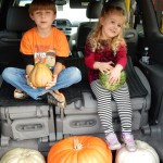 20151025-picdaykankipumpkins-71