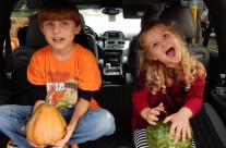 Picture Day, Pumpkins, Kanki