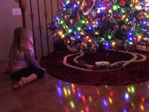 20151212-buildornaments-29
