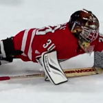 mites12